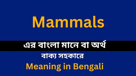 mammals meaning in bengali